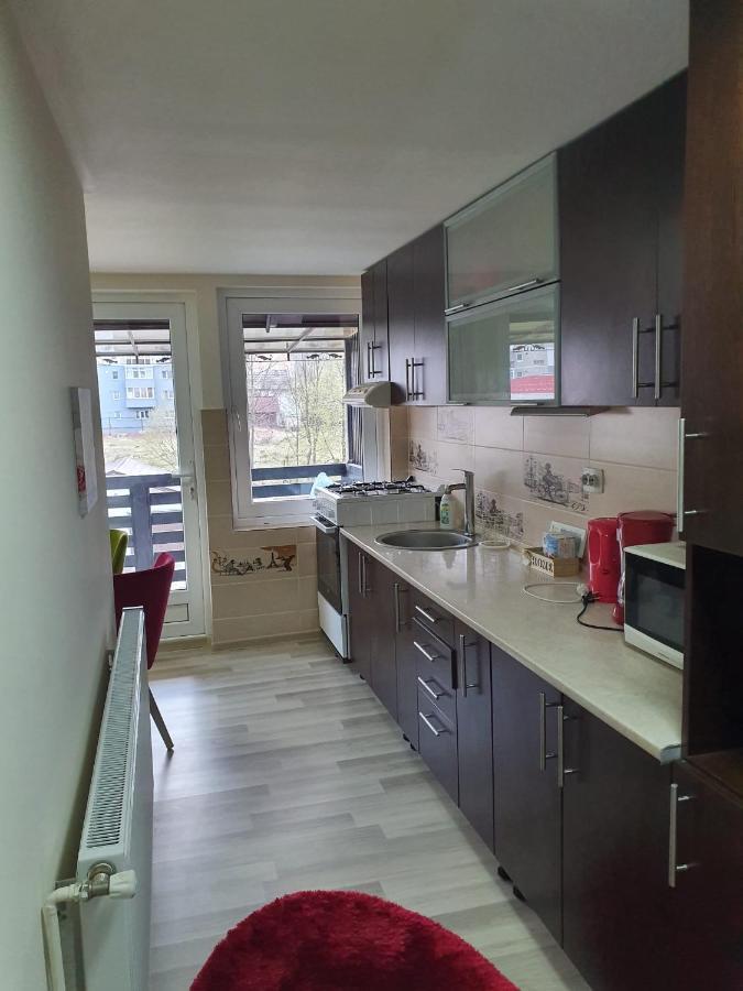 קאמפולונג מולדובנסק Villa Coca מראה חיצוני תמונה