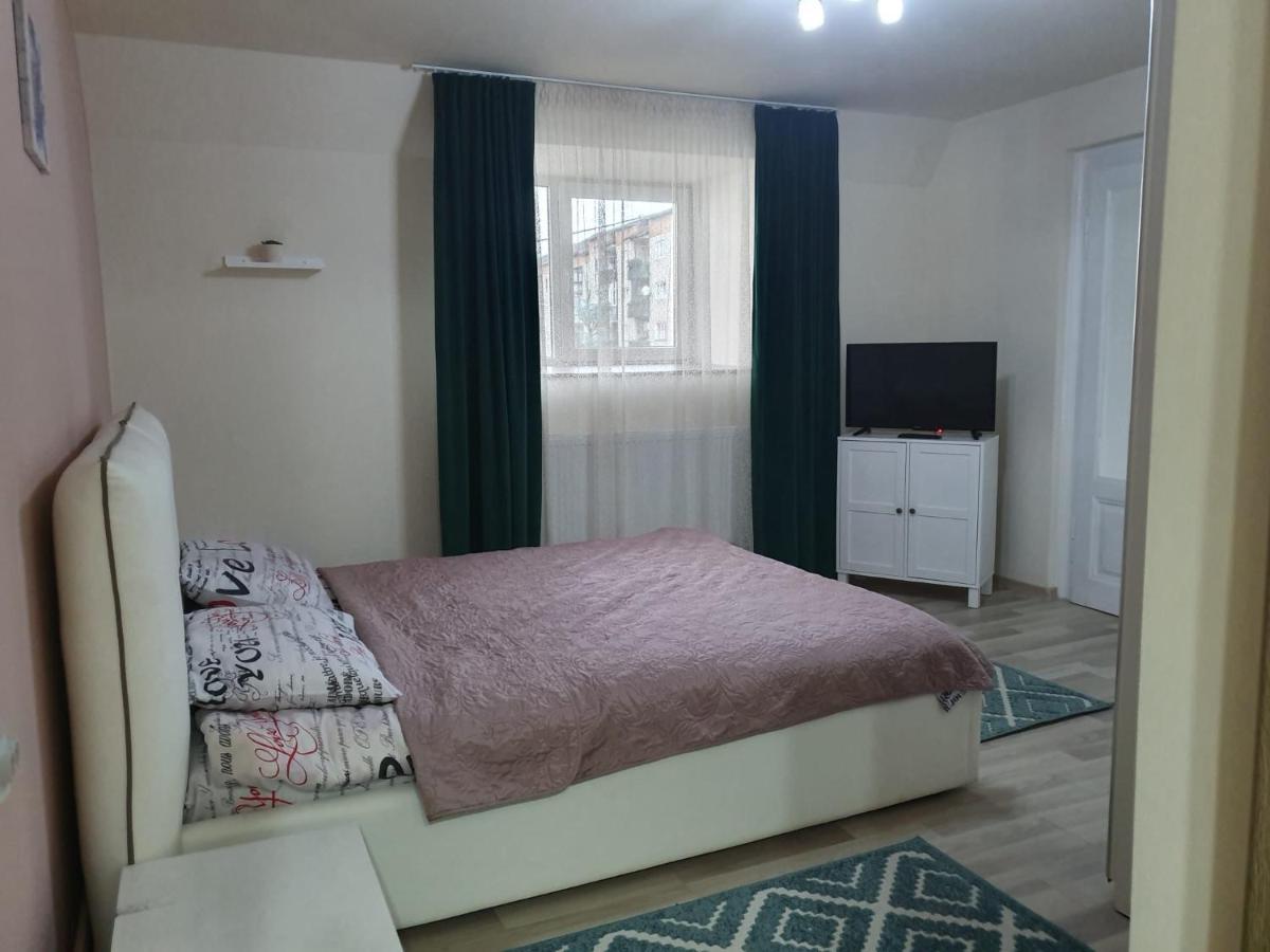 קאמפולונג מולדובנסק Villa Coca מראה חיצוני תמונה