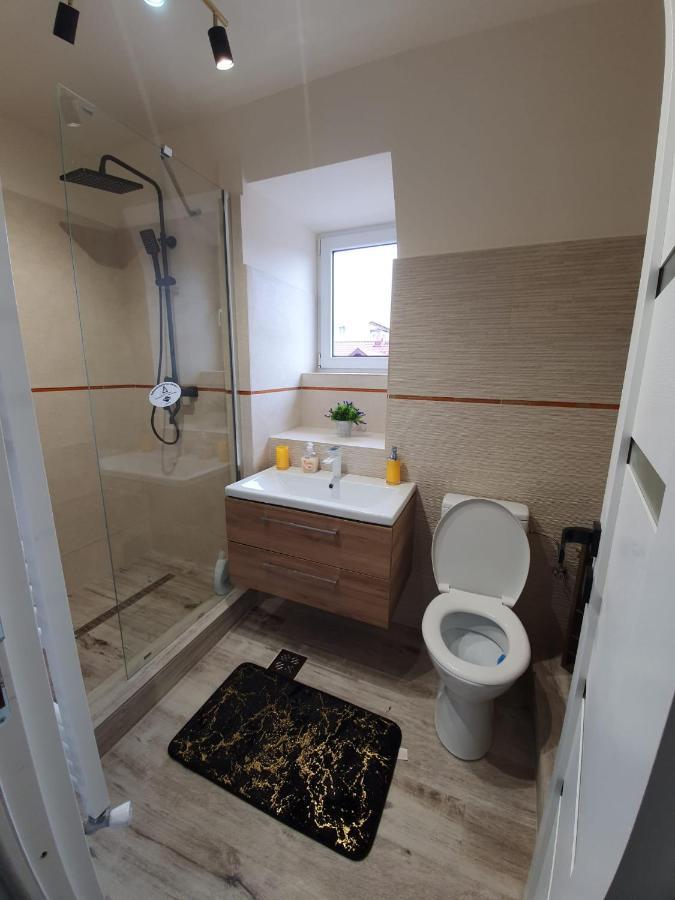 קאמפולונג מולדובנסק Villa Coca מראה חיצוני תמונה